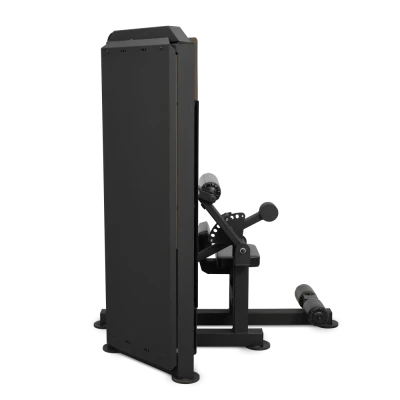 Пресс-машина BRONZE GYM PARTNER ML-812 — профессиональный тренажёр для пресса