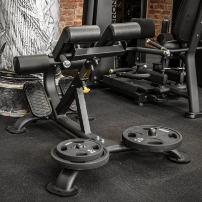 Гиперэкстензия профессиональная BRONZE GYM BR-1010 купить в Туле — ArtRelax