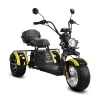 Электротрицикл Siberton Pro Trike 3950W 60V35A 12"