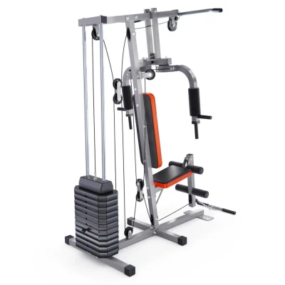 Силовой комплекс DFC HomeGym D7000-60 с стеком 60 кг — купить в Туле в магазине тренажеров