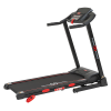 <h1>Беговая дорожка CardioPower T15 купить в Туле</h1>