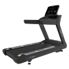 Беговая дорожка CardioPower профессиональный (PRO) CT350 купить в Туле