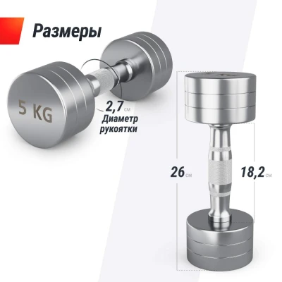 Гантель UNIX Fit PRO круглая хромированная 5 кг, 2 шт.