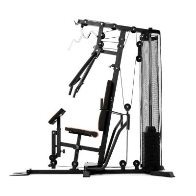Силовой комплекс DFC HomeGym D5125 стек 81,5 кг — купить в Туле в магазине тренажеров