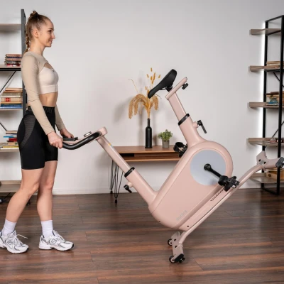 Велотренажер домашний SVENSSON BODY LABS AURORA купить в Туле