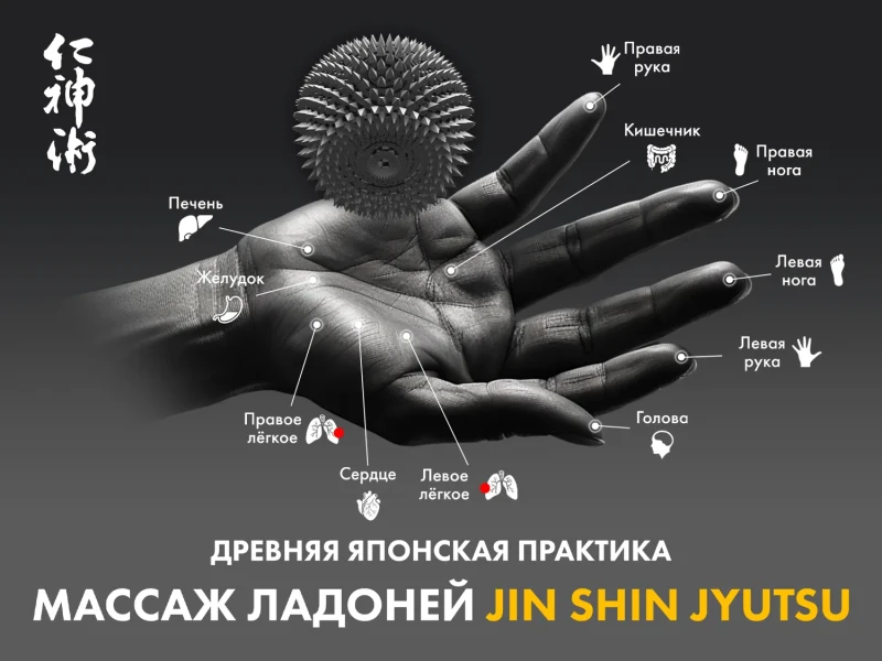 Массажное кресло FUJIMO 氣 GURU2 Серый
