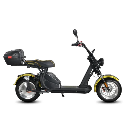 Электроскутер Siberton Pro 3950W 60V35A 12"