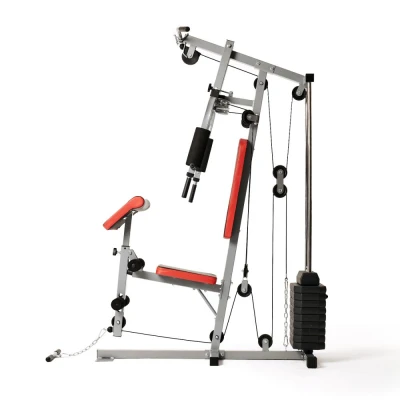 Силовой комплекс DFC HomeGym D7001 со стеком 45 кг — купить в Туле в магазине тренажеров