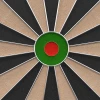 Мишень для дартса DFC SISAL купить в Туле в магазине
