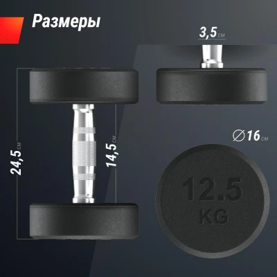 Гантель UNIX Fit PRO круглая обрезиненная 12,5 кг, 2 шт.
