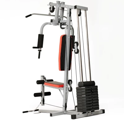 Силовой комплекс DFC HomeGym D7001 со стеком 45 кг — купить в Туле в магазине тренажеров