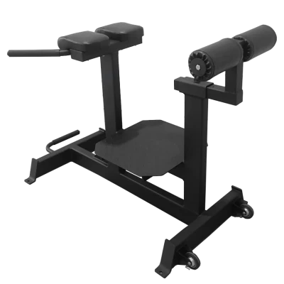 Гиперэкстензия горизонтальная BRONZE GYM PARTNER AL-920 — купить в Туле в магазине тренажеров ArtRelax