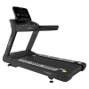 Беговая дорожка CardioPower профессиональный (PRO) CT350 купить в Туле
